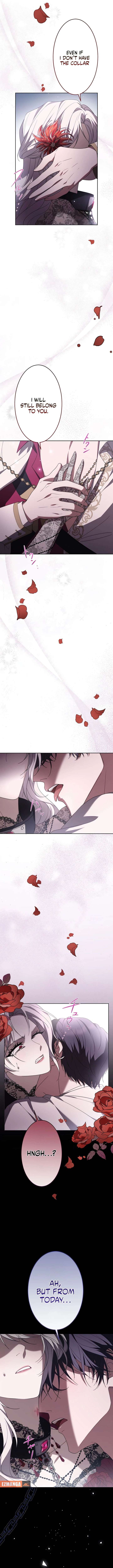 ch 1 21
