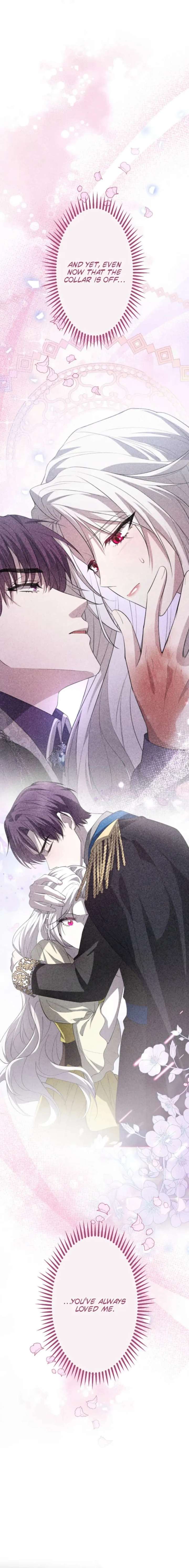 ch 16 11