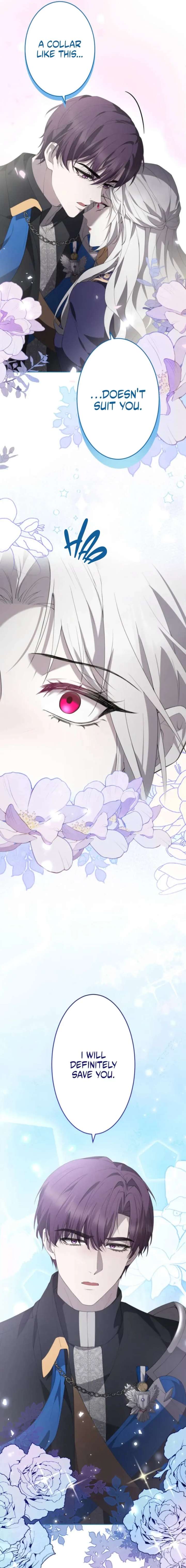 ch 16 27