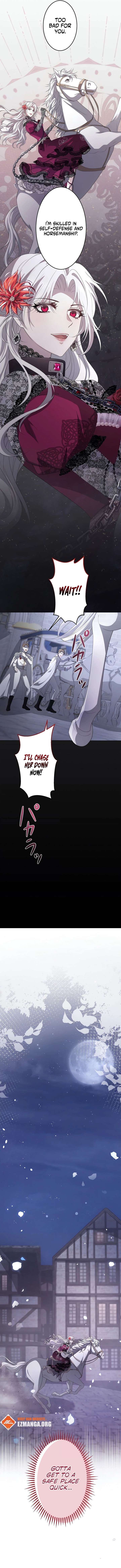 ch 2 11