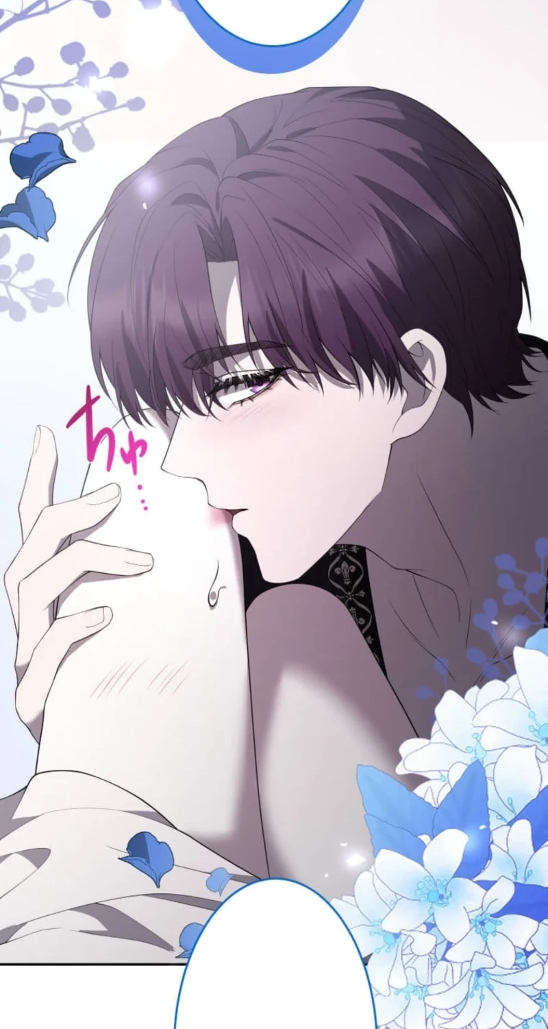 6b6884540f74