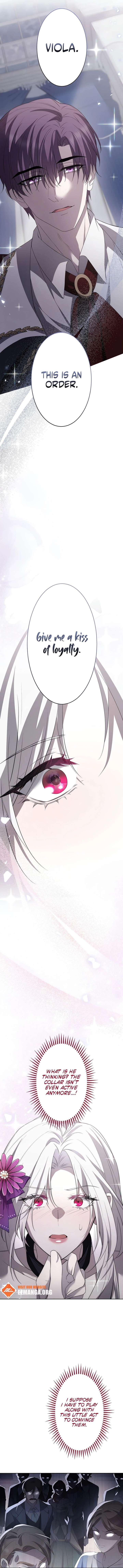 ch 4 8