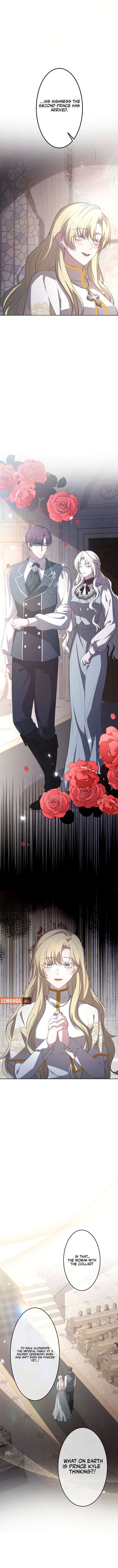 ch 6 11