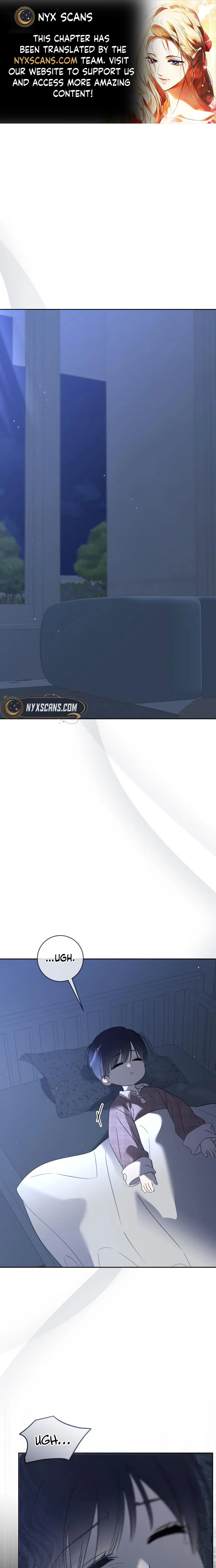 1 webp