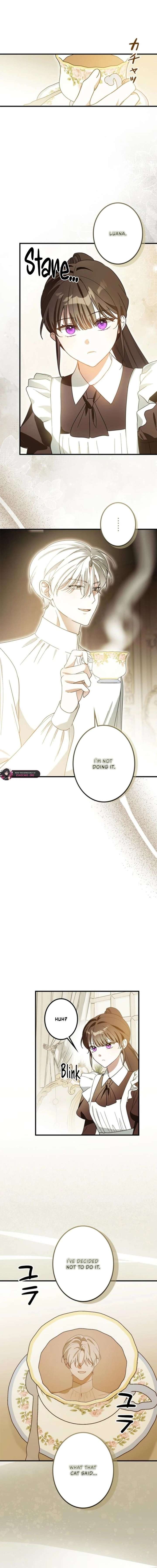 ch 20 6