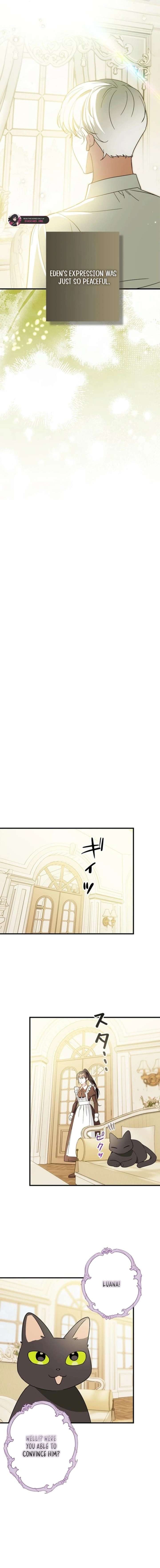 ch 20 9