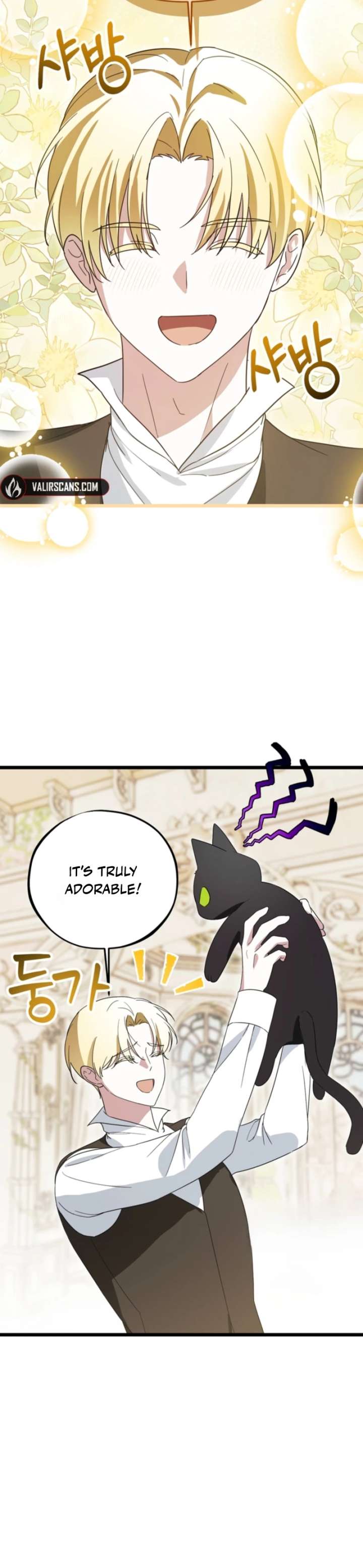 ch 22 11
