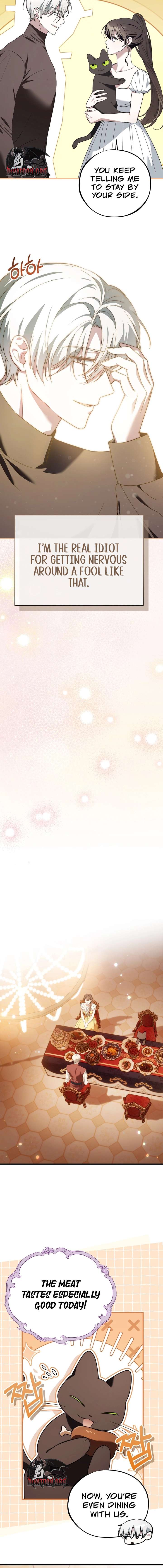 ch 23 2