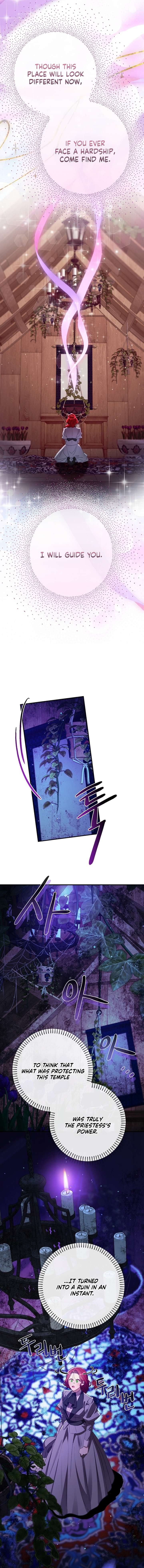 ch 21 11