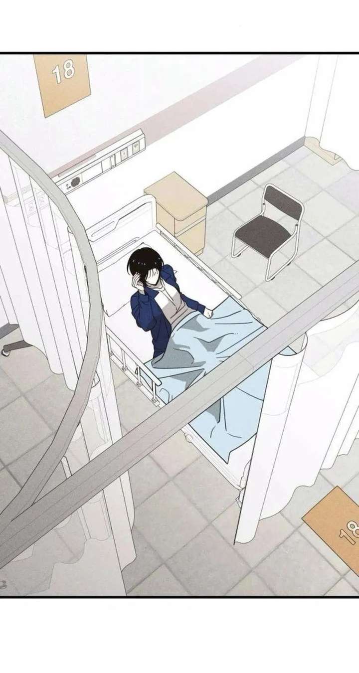 ch 12 11