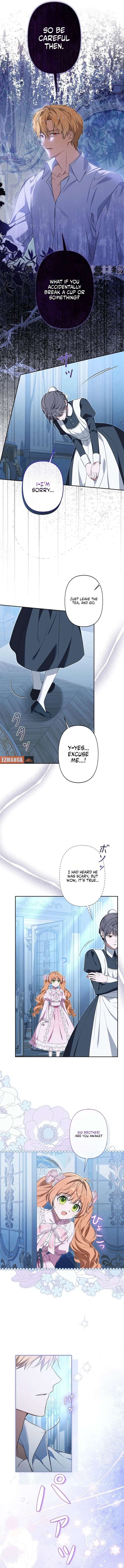 ch 11 7