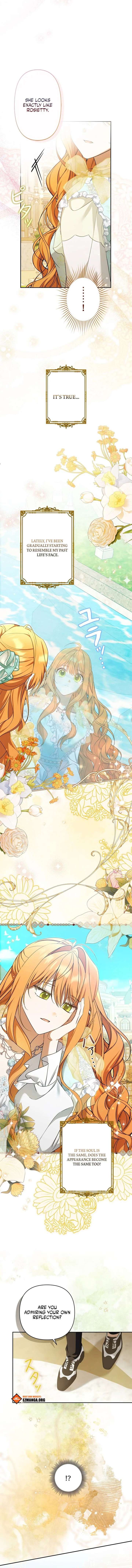 ch 16 8