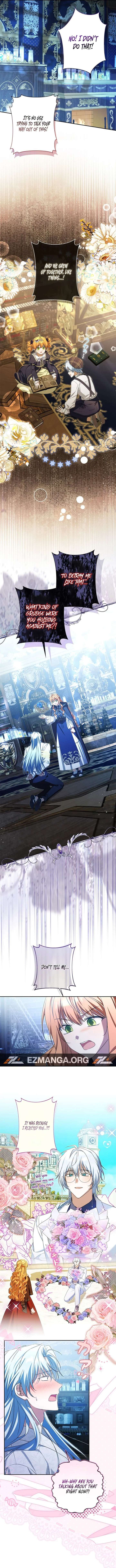 ch 17 8