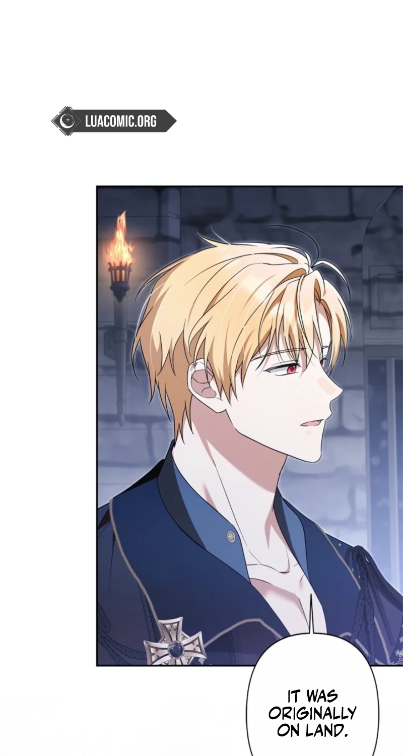 Protecting My Dangerous Handsome Brother Chapter 40 336 b813294d0e36