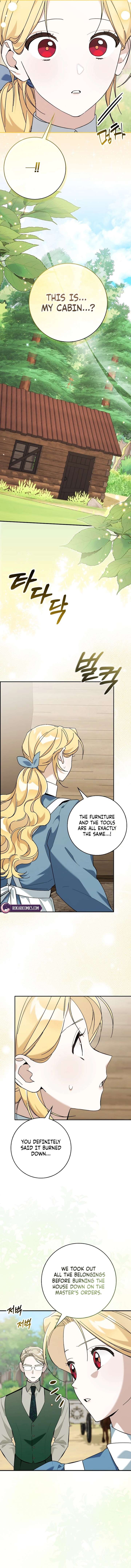 ch 19 11