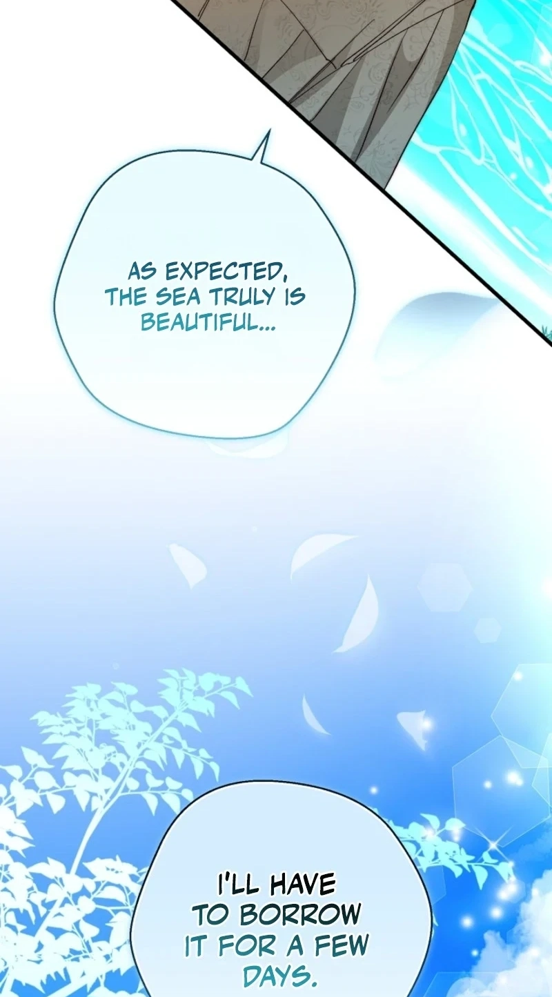 ce8cf20a9c80