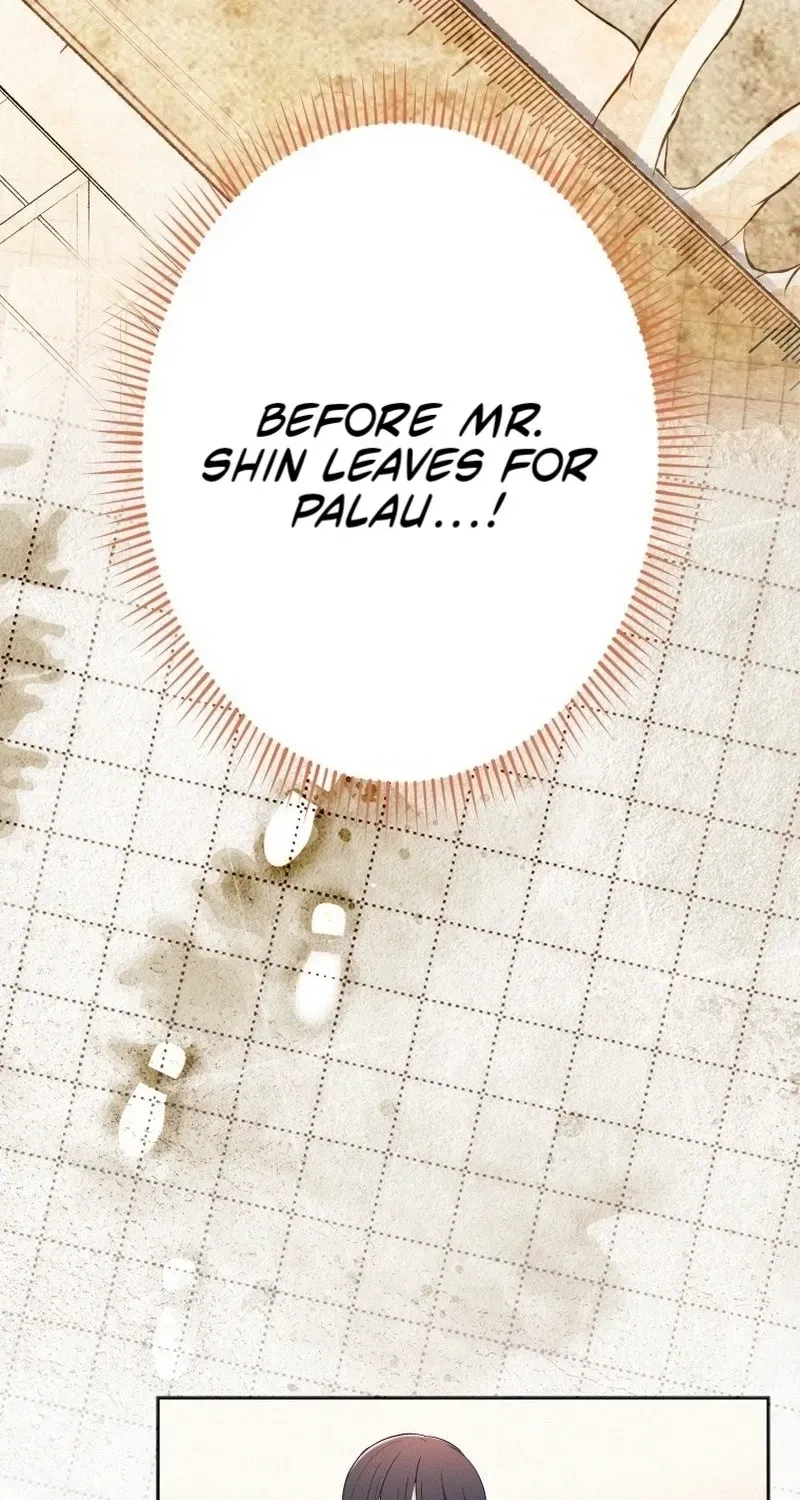How to Start a Fated Love Chapter 22 317 3d429b048920