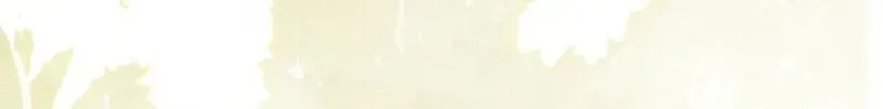 c8c8fdd24956