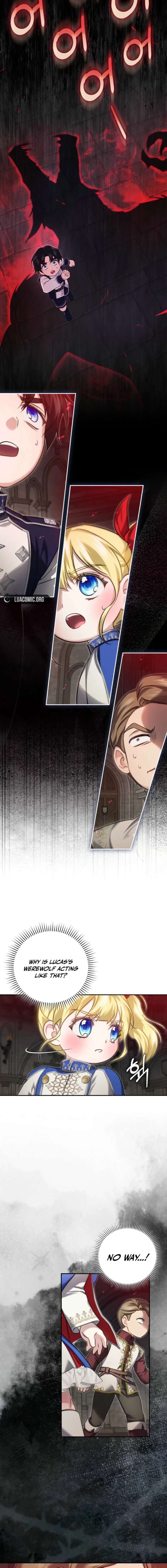 ch 23 17