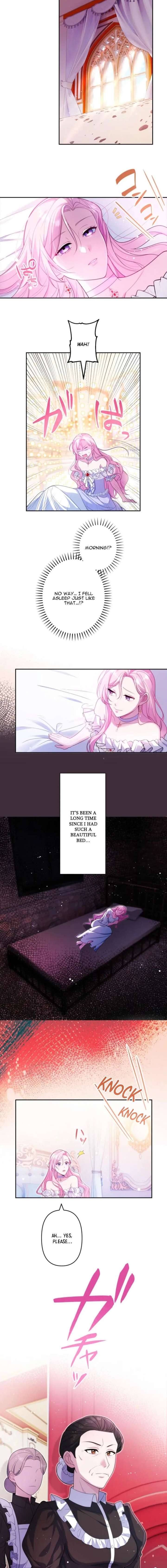 ch 4 6