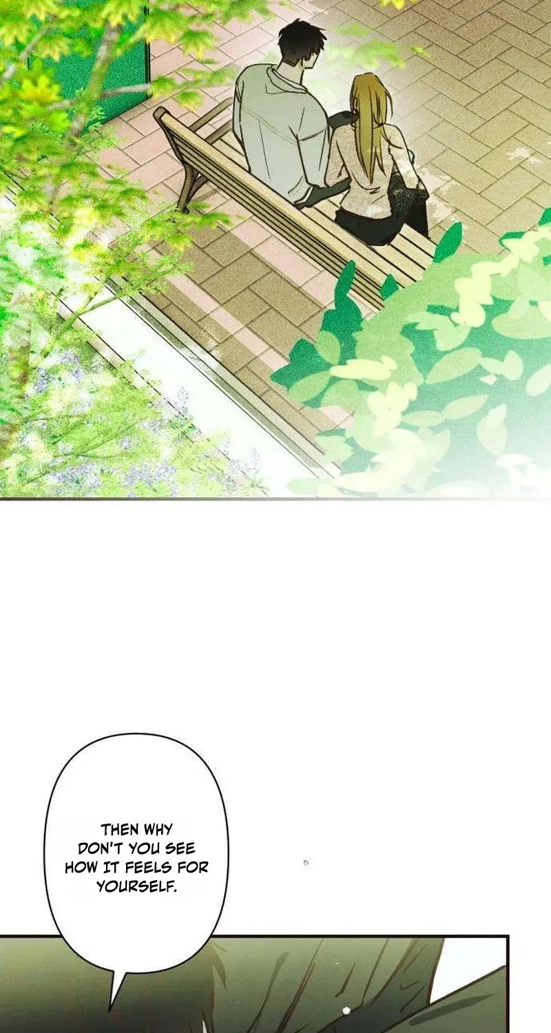 cf6f2c67cef2