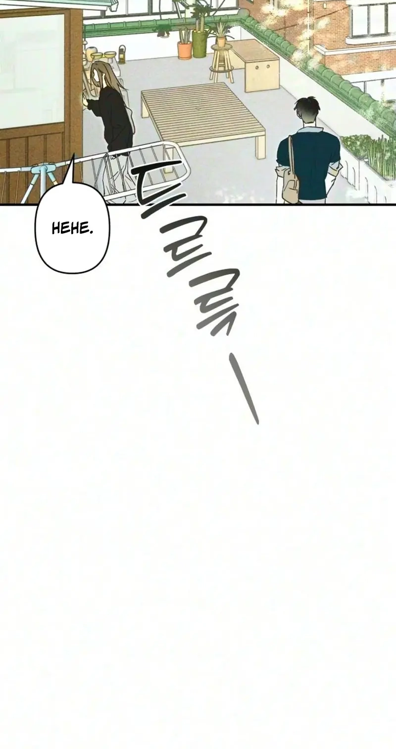 d2bca9bb843b