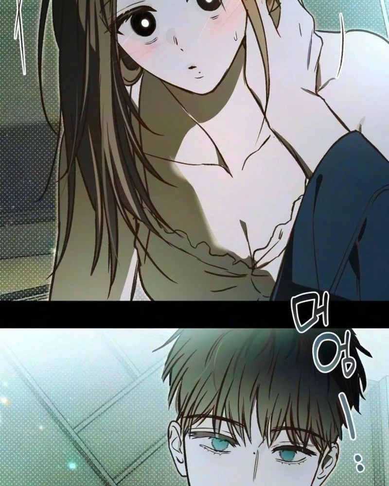 27a4b331ae9e