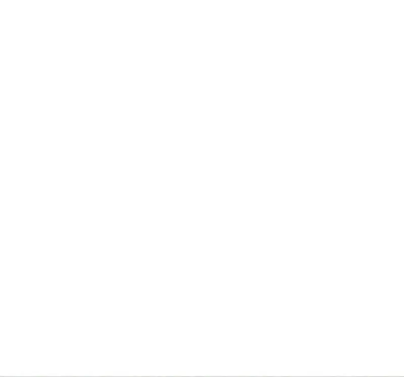 66