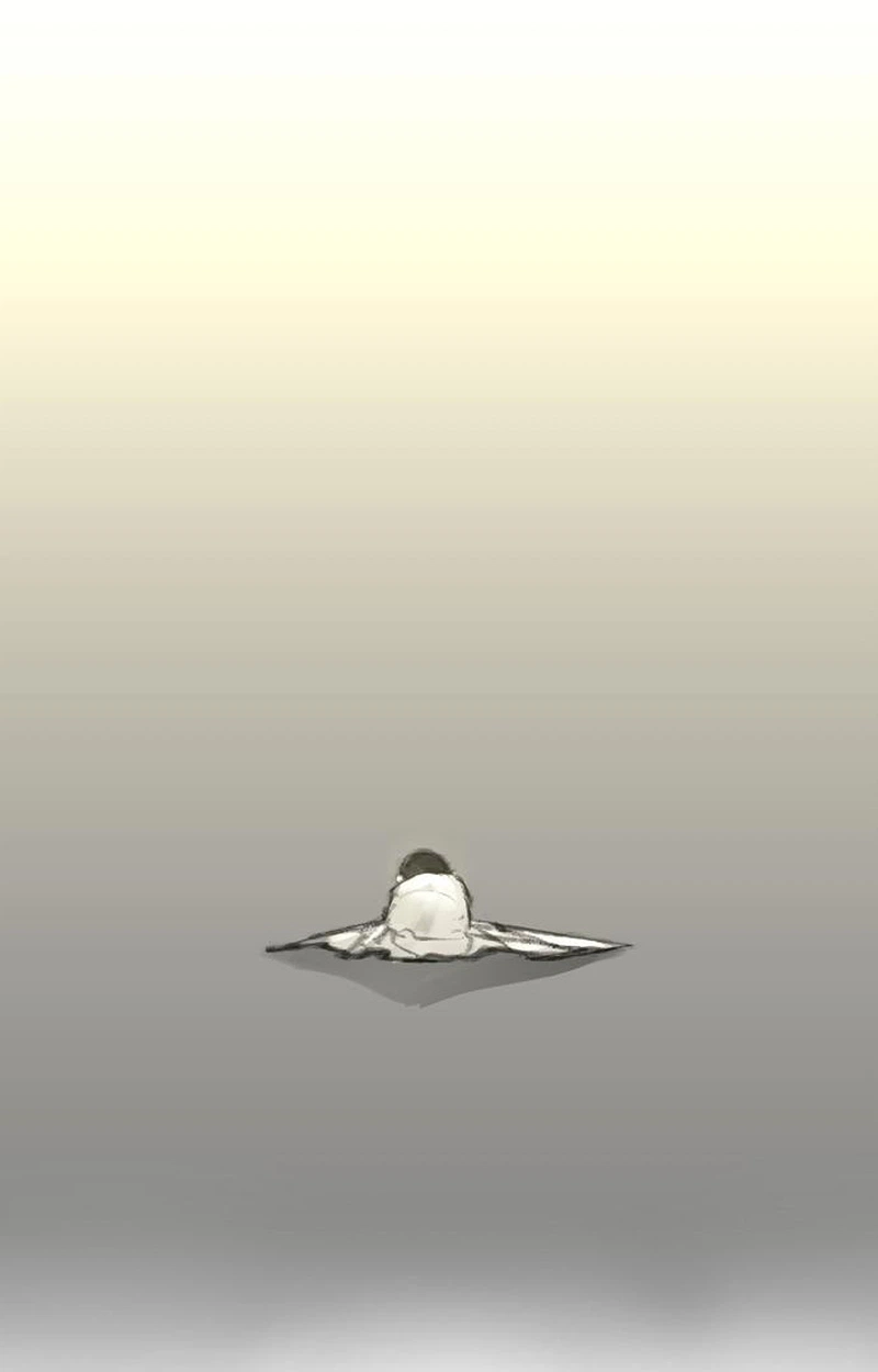 b29bb834b997