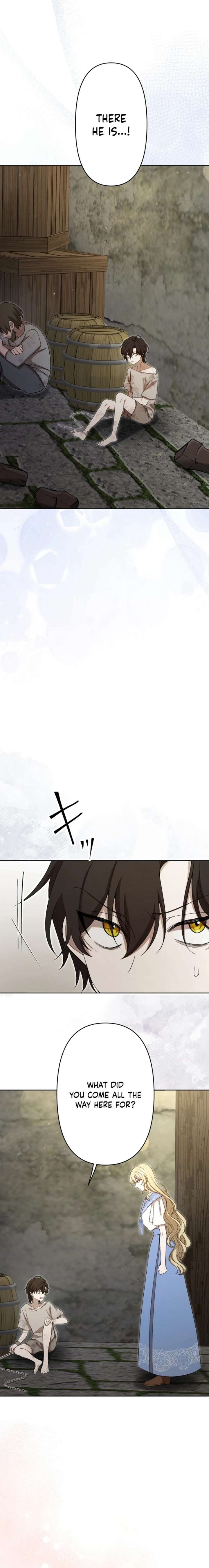 ch 16 17