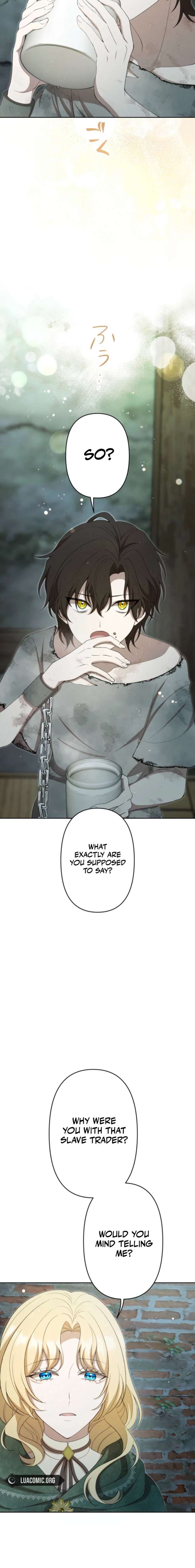 ch 17 2