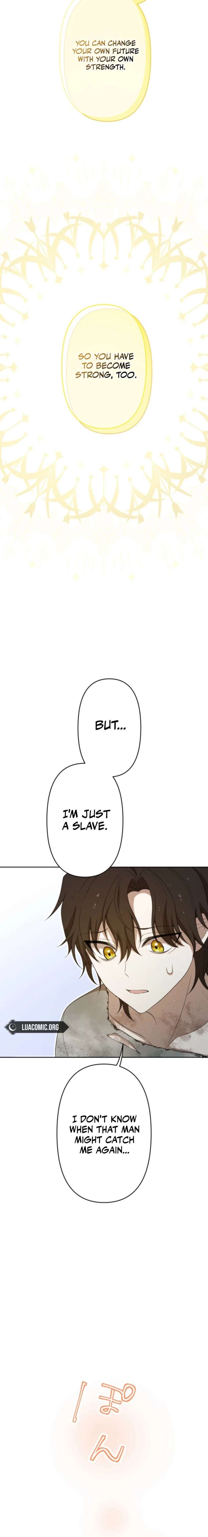 ch 17 6