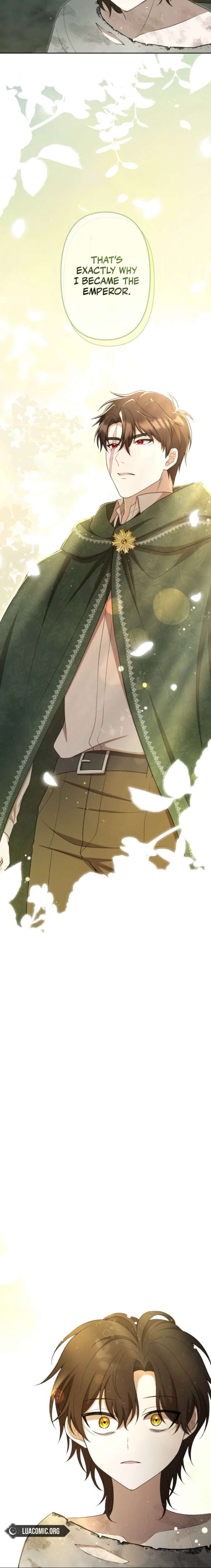ch 17 8