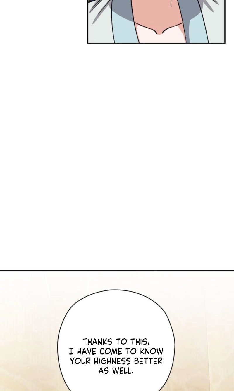 8e7e285cbefc