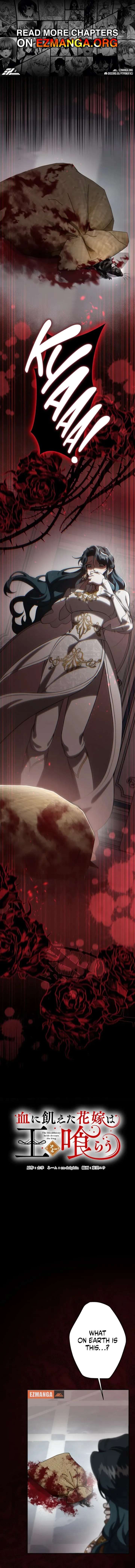 ch 16 1