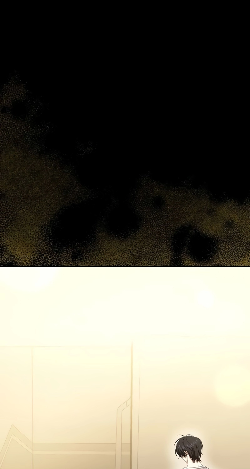 65113156bb41