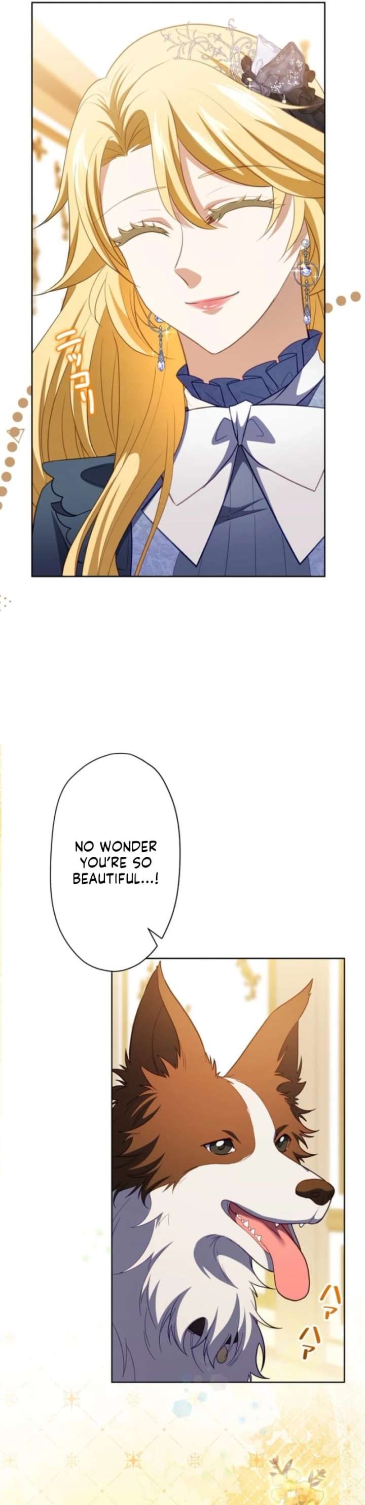 ch 16 8