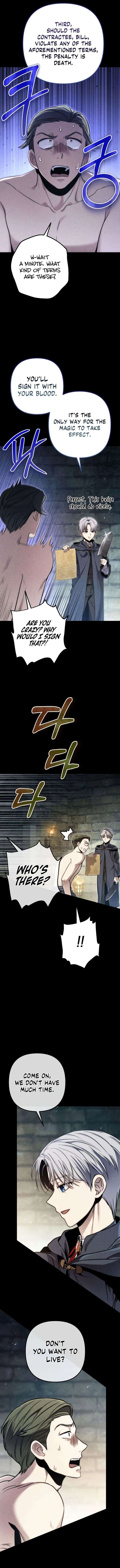 ch 8 4