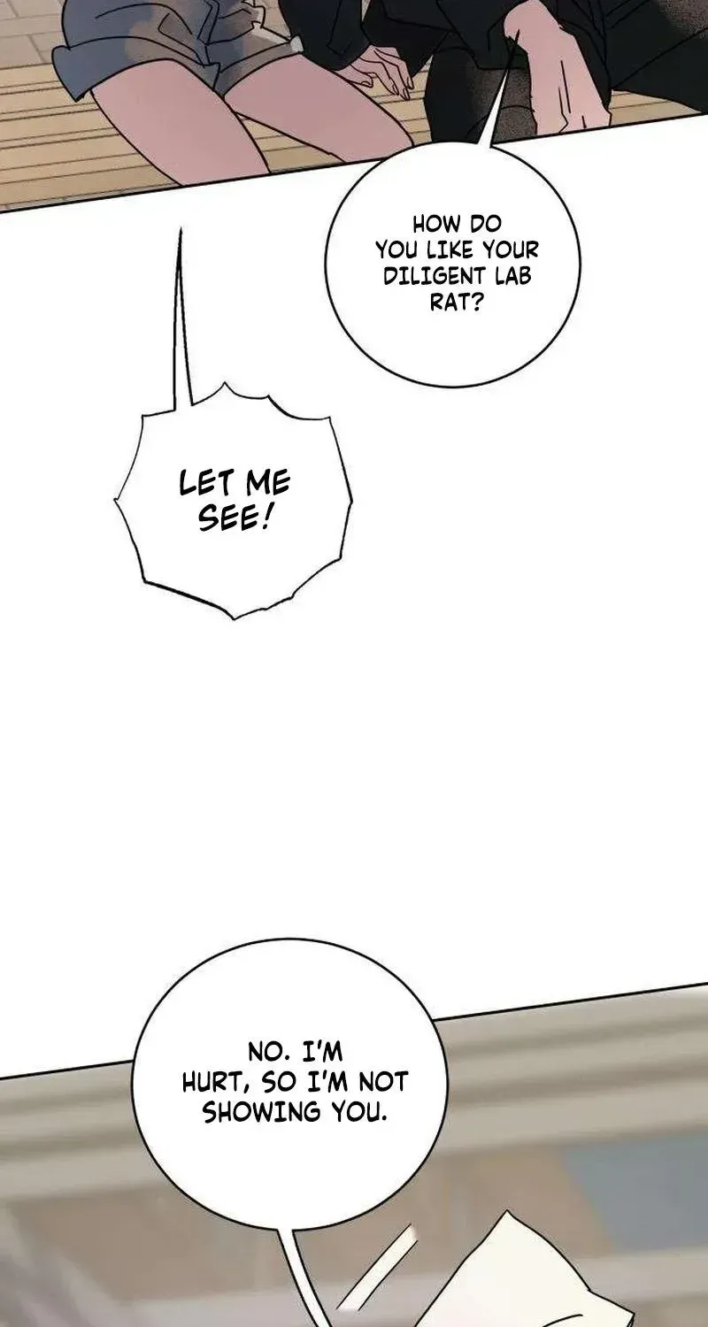 b8dfe21e318a