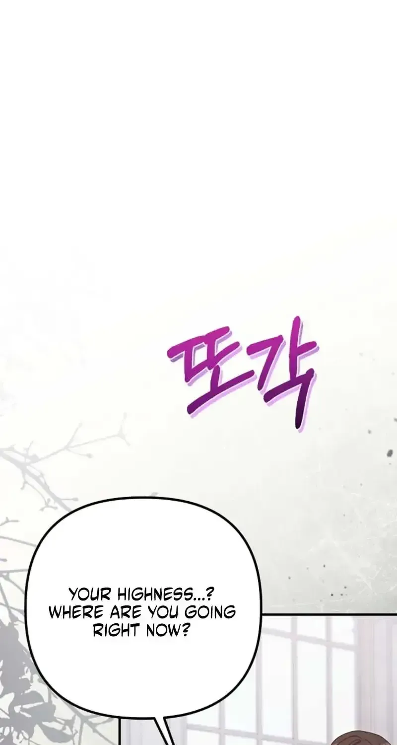 133426aaa243
