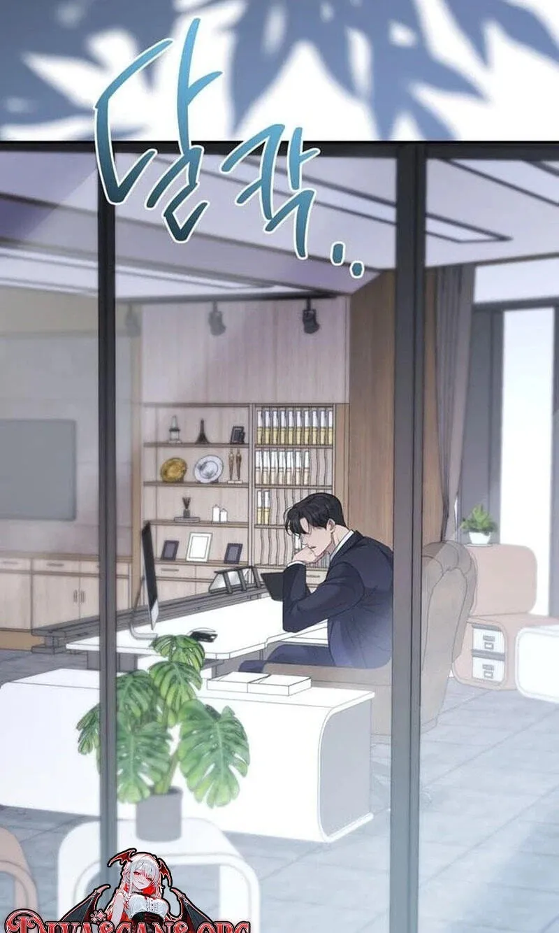 1188fef12439