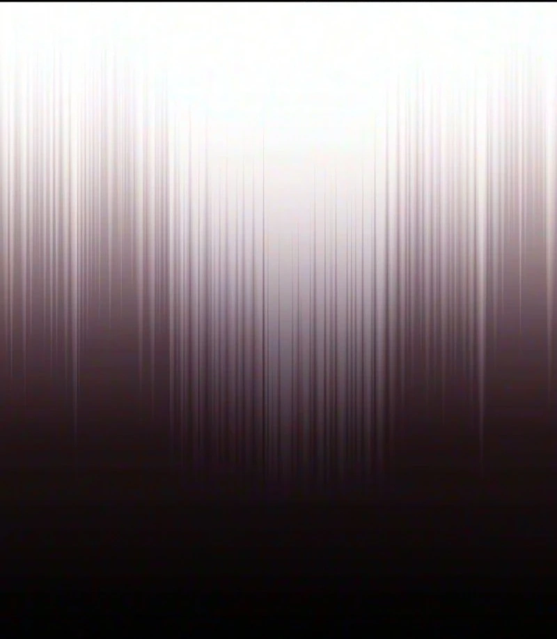 33d3afae2838