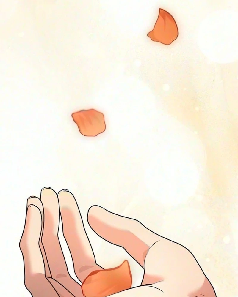 53f0db6fc8b2