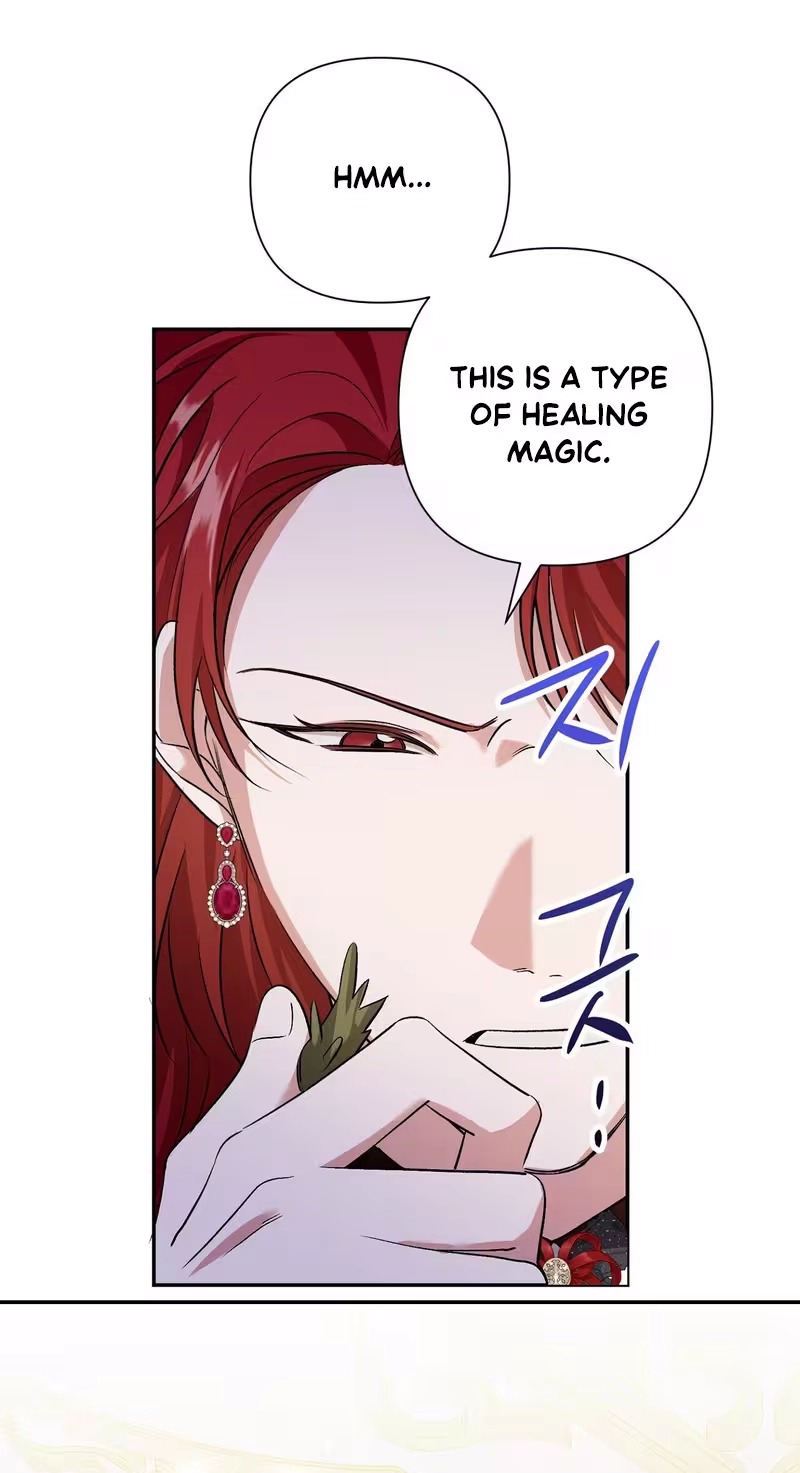 I Reincarnated as the Princess of a Country That Is Going to Destroyed by Male Protagonist capítulo 34 página 41