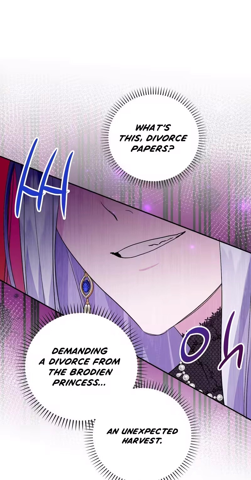 I Reincarnated as the Princess of a Country That Is Going to Destroyed by Male Protagonist capítulo 35 página 33