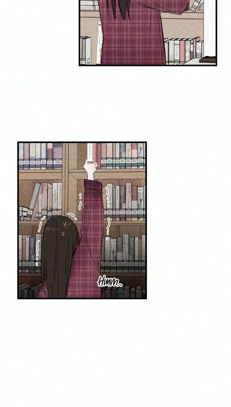 62971aa348e7