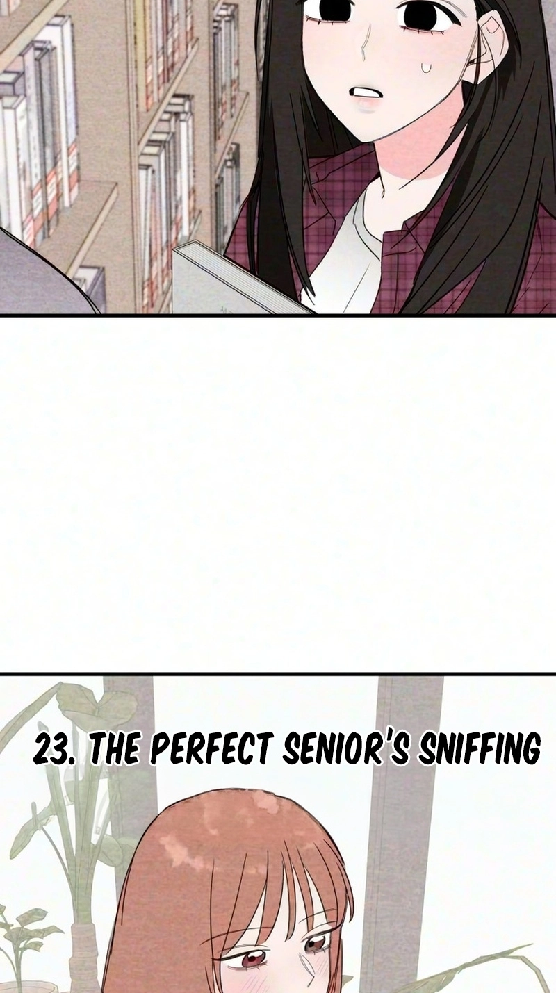 The Perfect Senior’s Secret! Chapter 23 255 ad73c2f9cdc8