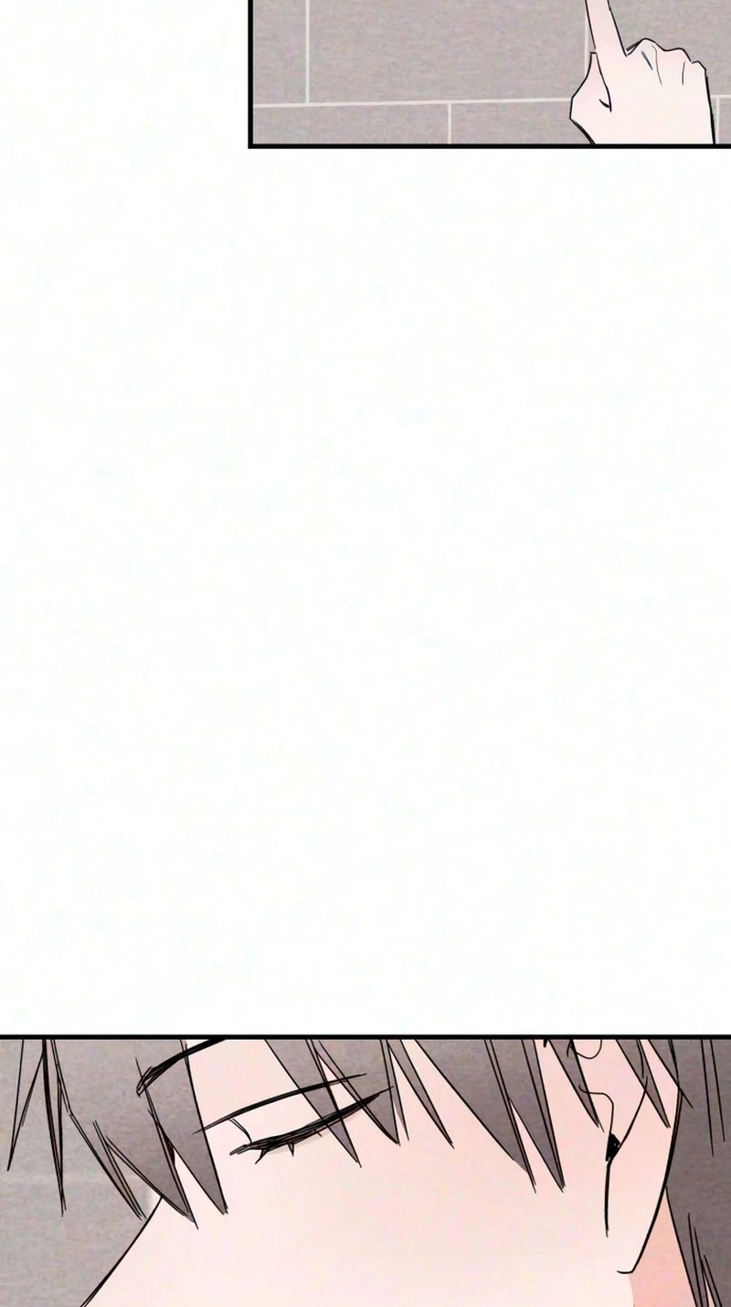 cfb1cea2e9c2