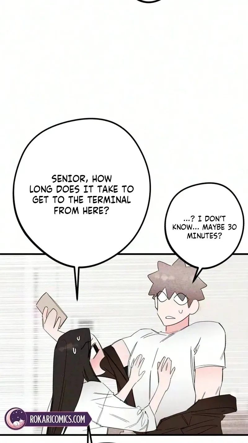 The Perfect Senior’s Secret! Chapter 27 258 ad038c8b1f28