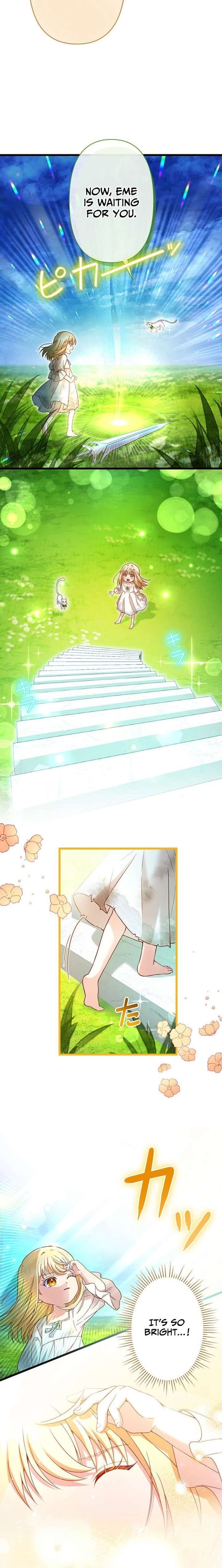 ch 3 17